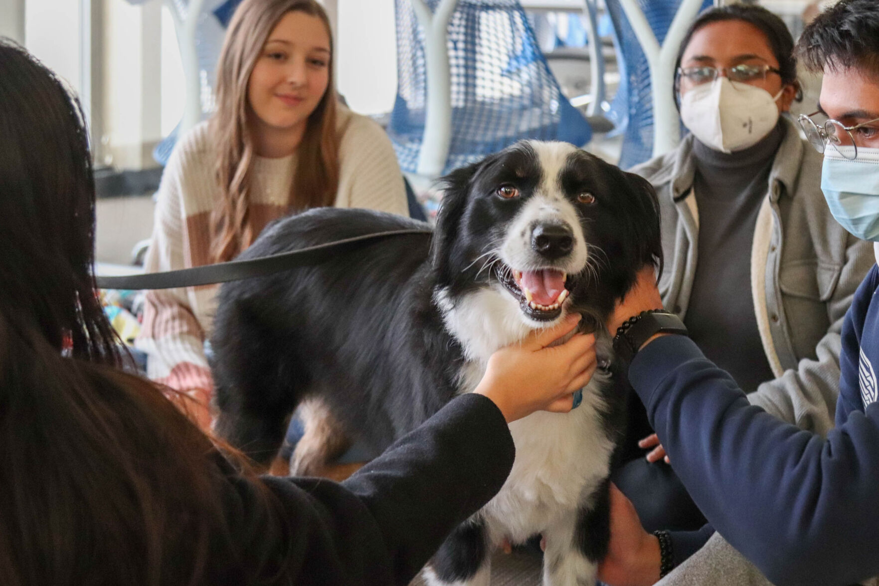 Doggy Days brings relaxation to students through pet therapy